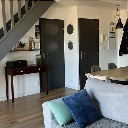 Appartement Cosy Proche Toulouse Castelginest Екстер'єр фото